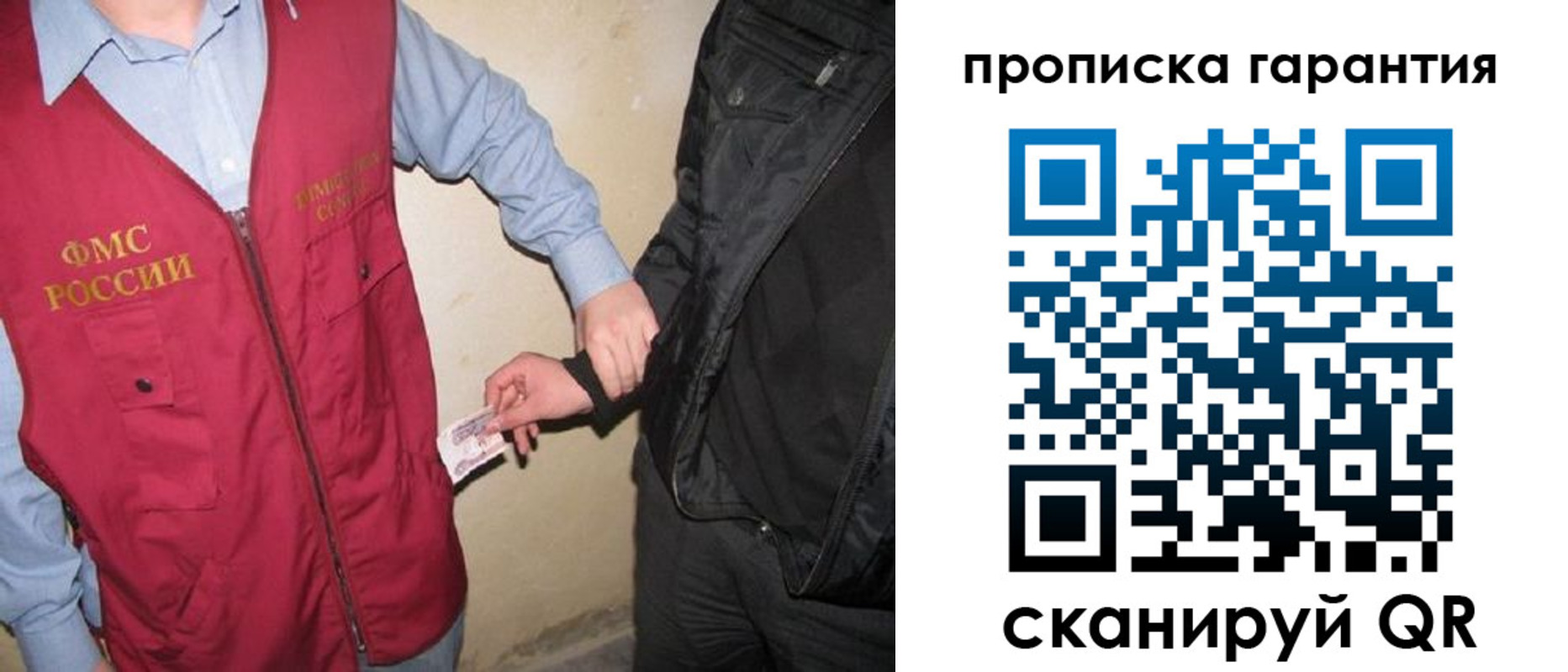 прописка для школы в Пионерском